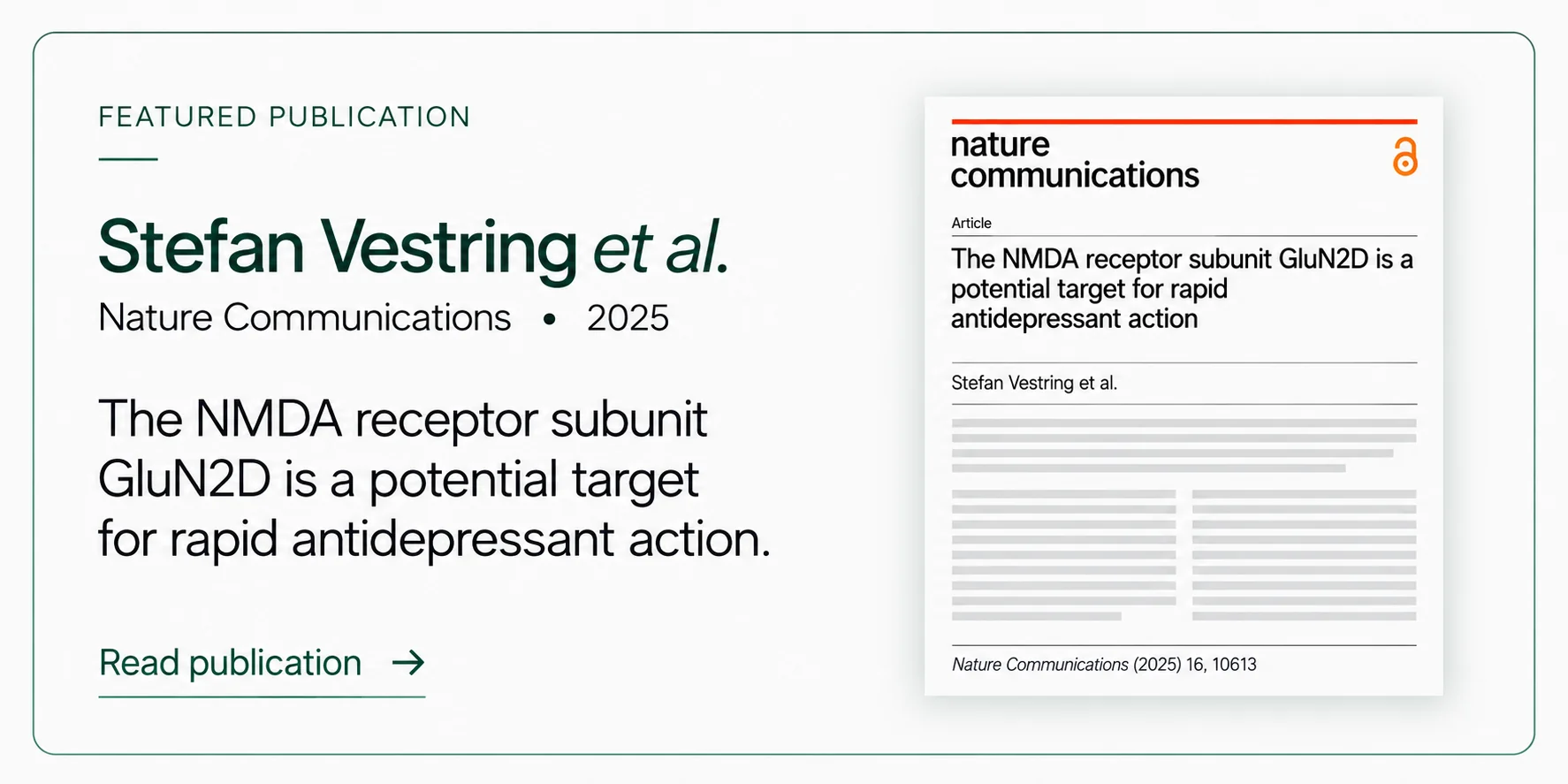 Featured publication: Vestring et al., Nature Communications 2025 — The NMDA receptor subunit GluN2D is a potential target for rapid antidepressant action